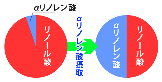 リノール酸とアルファリノレン酸のバランス
