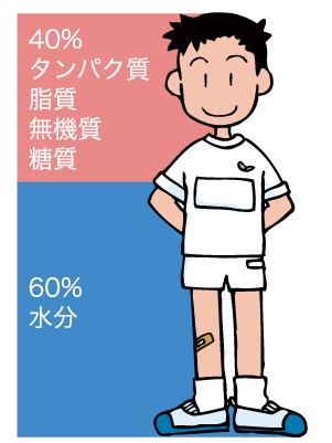 私たちの体をつくるもの