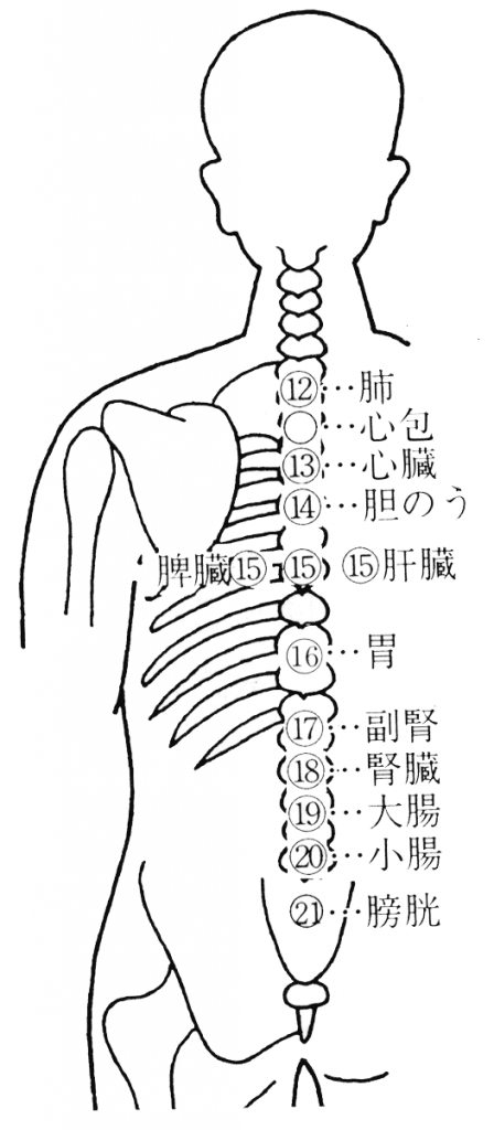 吸い玉治療背部色素診断点