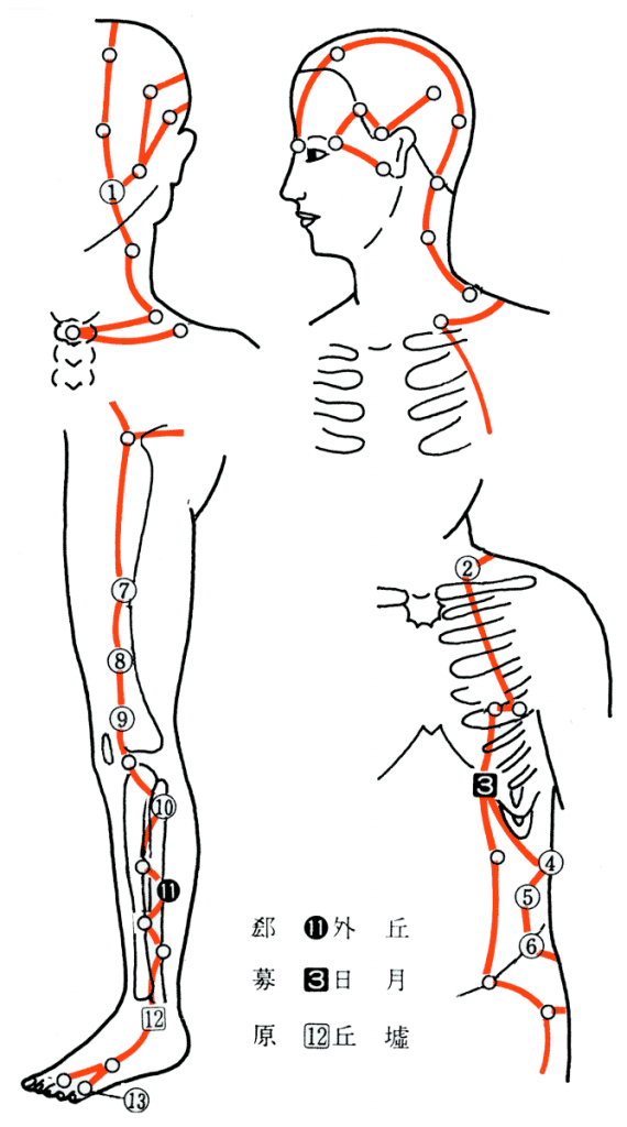 吸い玉治療胆経の肝臓病施療点