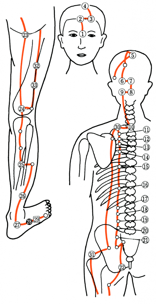 吸い玉治療背部の膀胱経治療点